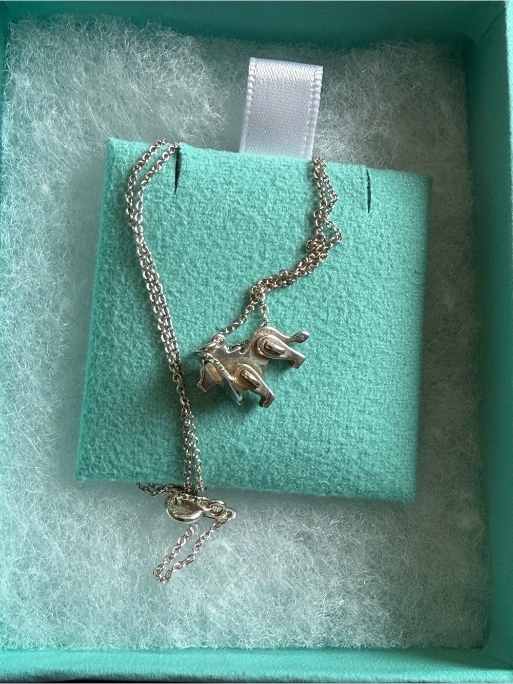 Tiffany Save the Lions Sterling Silver Necklace